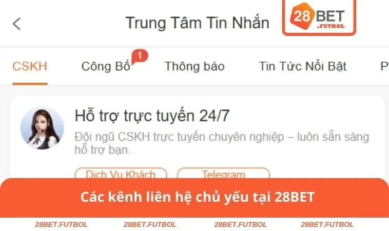 Các kênh liên hệ chủ yếu tại 28BET