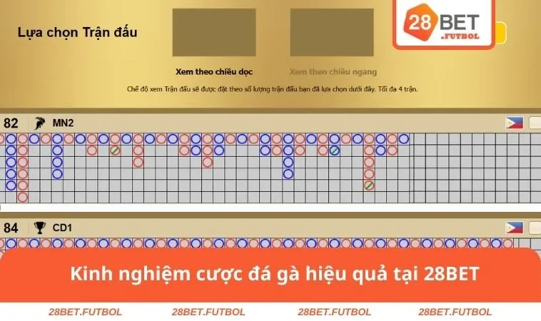 Kinh nghiệm cược đá gà hiệu quả tại 28BET