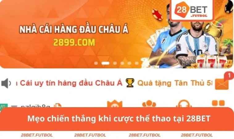 Mẹo chiến thắng khi cược thể thao tại 28BET