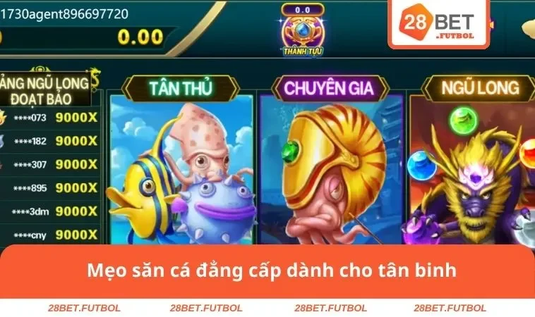 Mẹo săn cá đẳng cấp dành cho tân binh